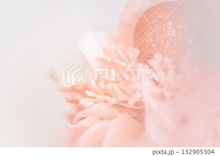 クリスマスリース・冬 イメージ 132905304