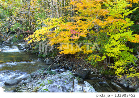 徒然なるままに・・秋色 132905452