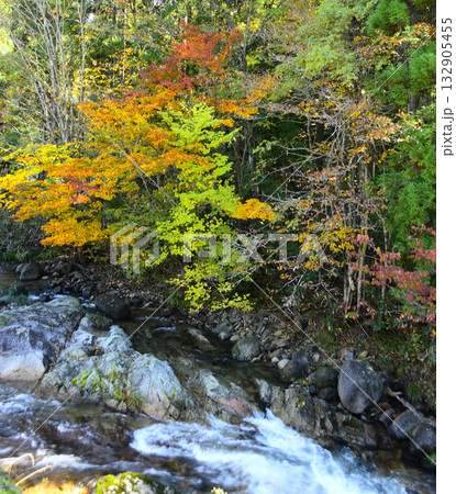 徒然なるままに・・秋色 132905455