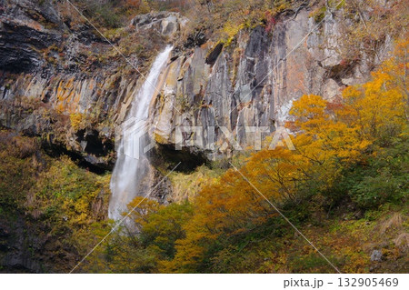 新潟県妙高市にある惣滝の秋の風景 新潟県妙高市にある惣滝の秋の風景 132905469