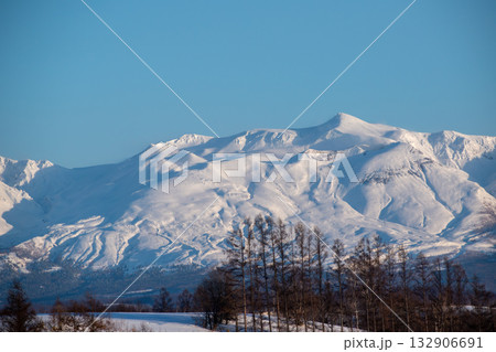 冬の晴れた日の雪山の山頂とカラマツ林 十勝岳 冬の晴れた日の雪山の山頂とカラマツ林 十勝岳 132906691