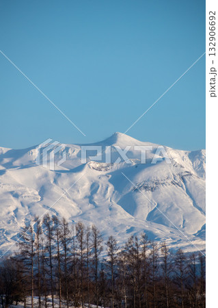 冬の晴れた日の雪山の山頂とカラマツ林 十勝岳 冬の晴れた日の雪山の山頂とカラマツ林 十勝岳 132906692