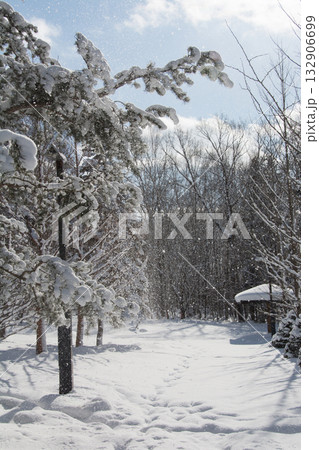 雪が積もった木の枝から落ちる雪垂 132906699