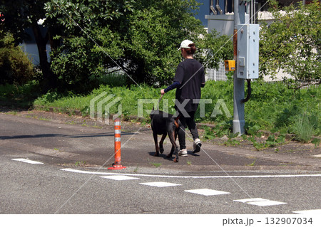 ドーベルマンと飼い主散歩訓練練習 132907034