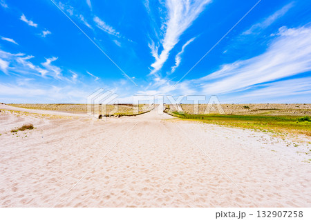 中田島砂丘 は 遠州灘海岸 にある 日本三大砂丘 の 砂丘 【 静岡県 浜松市 の 自然 風景 】 132907258
