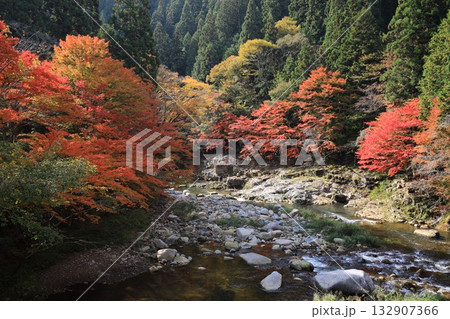 奥津峡　見頃の紅葉 132907366