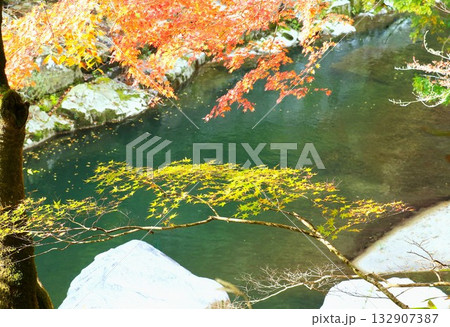 奥津峡　見頃の紅葉 132907387