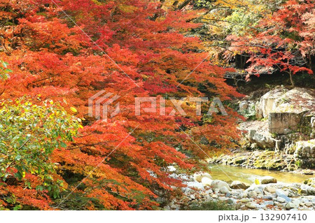 奥津峡　見頃の紅葉 132907410