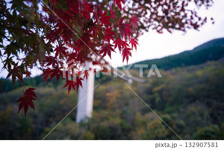 埼玉県秩父市のループ橋付近の紅葉 埼玉県秩父市のループ橋付近の紅葉 132907581