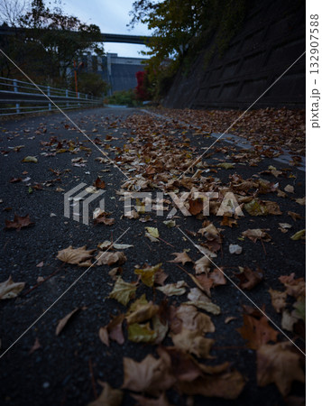 埼玉県秩父市のループ橋付近の紅葉 埼玉県秩父市のループ橋付近の紅葉 132907588