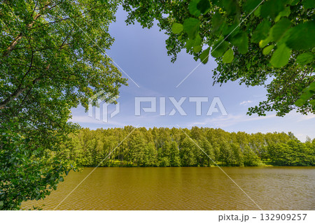 A Serene Lake Completely Surrounded by a Lush and Vibrant Greenery That Invites Relaxation 132909257