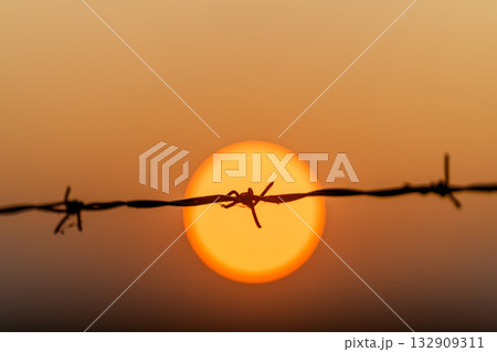 A striking image of barbed wire beautifully silhouetted against a vibrant sunset sky A striking image of barbed wire beautifully silhouetted against a vibrant sunset sky 132909311