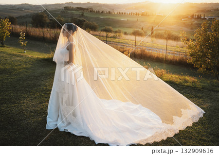 Bride in a Veil Standing in Sunset Landscape 132909616