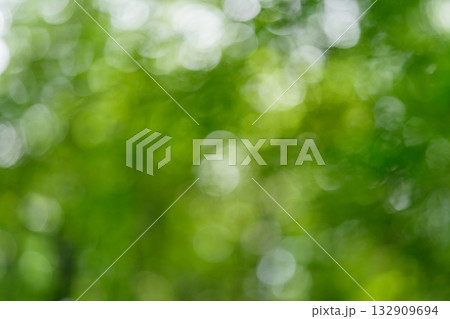 A beautifully blurred green nature background, embodying the essence of tranquility and life A beautifully blurred green nature background, embodying the essence of tranquility and life 132909694