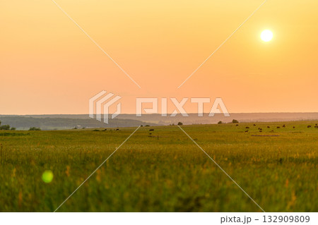 A Serene and Breathtaking Sunset Over a Lush, Vibrant Green Meadow Landscape Awaits You A Serene and Breathtaking Sunset Over a Lush, Vibrant Green Meadow Landscape Awaits You 132909809
