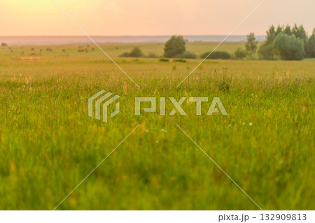 A Serene Green Meadow at Sunset, reflecting calm beauty and tranquility in natures embrace A Serene Green Meadow at Sunset, reflecting calm beauty and tranquility in natures embrace 132909813