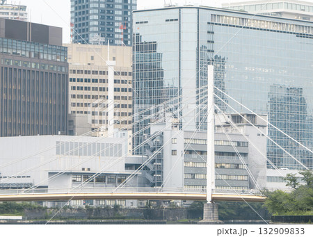 都会のビル群を背景にした近代的な斜張橋 132909833