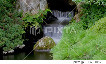 苔むした日本庭園の小川と石橋 苔むした日本庭園の小川と石橋 132910426