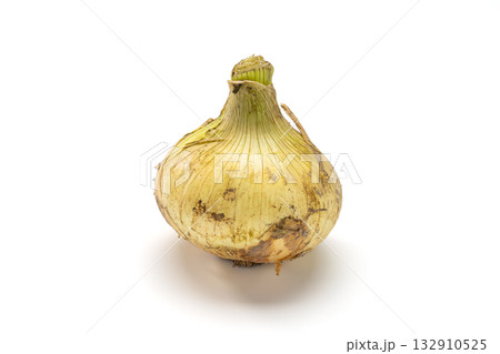 収穫直後の新玉ねぎのクローズアップ 収穫直後の新玉ねぎのクローズアップ 132910525