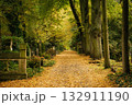 A picturesque autumn scene at Melaten Cemetery in Cologne 132911190