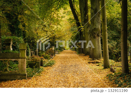 A picturesque autumn scene at Melaten Cemetery in Cologne A picturesque autumn scene at Melaten Cemetery in Cologne 132911190