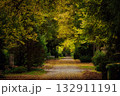 A picturesque autumn scene at Melaten Cemetery in Cologne 132911191