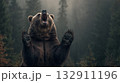 威嚇するヒグマ 132911196