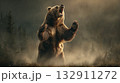 森の中で威嚇するヒグマ 132911272