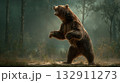 森の中で威嚇するヒグマ 132911273