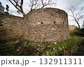 roman city wall with the lysolph tower 132911311