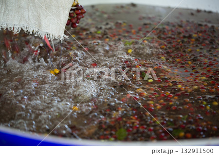 Smart farming techniques machinery roast apparatus coffee bean dry sunlight tool sunbeam sunray sunshine fresh garden produce agriculture promotes farmer concept close up plant farm blur background 132911500