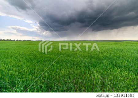 Dramatic Storm Clouds Gather Above a Lush and Expansive Green Field in the Countryside 132911583