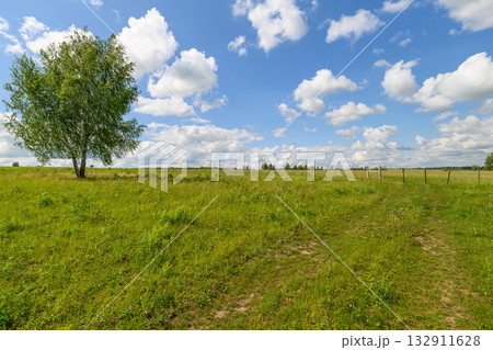 A Serene Landscape Featuring a Lush Green Field and a Beautiful Tree Under a Bright Blue Sky A Serene Landscape Featuring a Lush Green Field and a Beautiful Tree Under a Bright Blue Sky 132911628