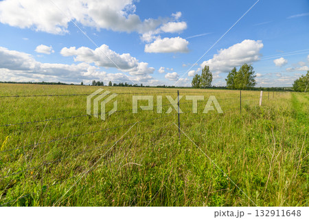 An Expansive and Lush Green Field Nestled Comfortably Under a Bright and Clear Blue Sky Above You 132911648