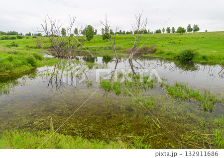 A Tranquil Wetland Landscape Featuring Beautiful Reflections and Lush Greenery All Around A Tranquil Wetland Landscape Featuring Beautiful Reflections and Lush Greenery All Around 132911686