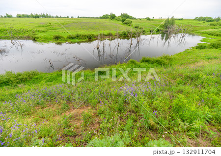 A Beautiful Lush Wetland Landscape Featuring a Peaceful and Serene Reflection in Water, 132911704