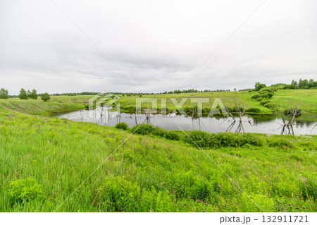 A Serene Wetland Landscape Featuring Lush Greenery and Calm Waters in Tranquil Harmony A Serene Wetland Landscape Featuring Lush Greenery and Calm Waters in Tranquil Harmony 132911721