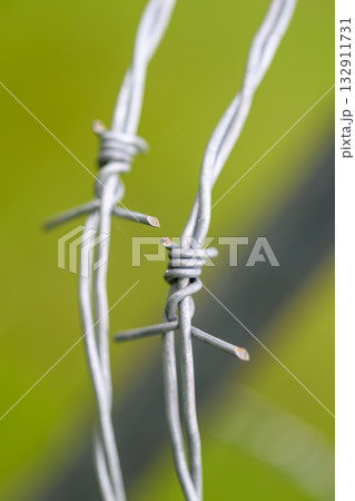 A CloseUp View of Twisted Barbed Wire Set Against a Lush Green Background in Nature 132911731