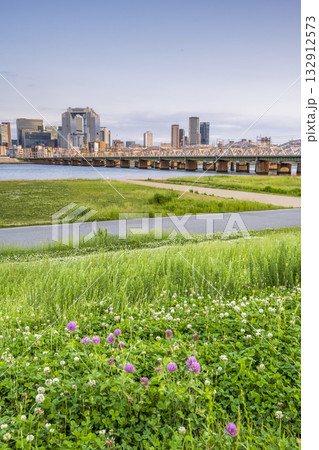 淀川の河川敷と大坂市の風景 淀川の河川敷と大坂市の風景 132912573