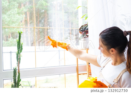 A sad tired woman does not want to wash the windows and clean the house, negative emotions, burnout. Restoring order and cleanliness, cleaning servise 132912730