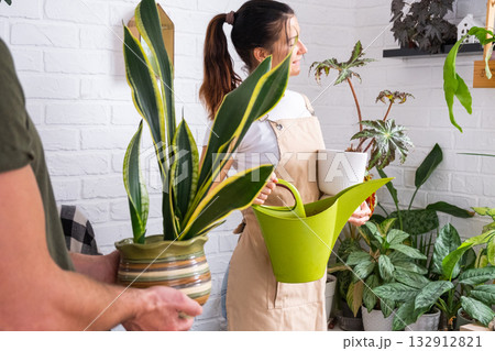 A woman waters home plants from her collection of rare species from a watering can, grown with love on shelves in the interior of the house. Home plant growing, green house, water balance 132912821