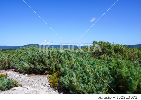 つつじヶ原自然探勝路・硫黄山のあたり つつじヶ原自然探勝路・硫黄山のあたり 132913072