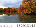 水面に映る紅葉 132913148