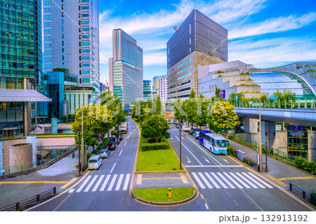 日本の東京都市景観 汐留のオフィス街。街路樹のシマトネリコが印象的。左は汐留シティセンター 日本の東京都市景観 汐留のオフィス街。街路樹のシマトネリコが印象的。左は汐留シティセンター 132913192
