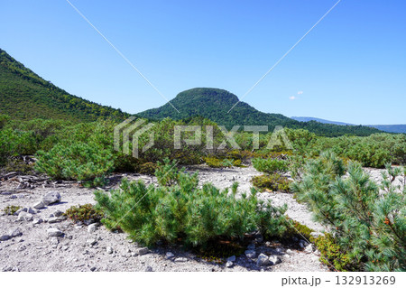 つつじヶ原自然探勝路・硫黄山のあたり 132913269