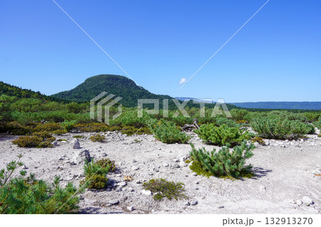つつじヶ原自然探勝路・硫黄山のあたり 132913270