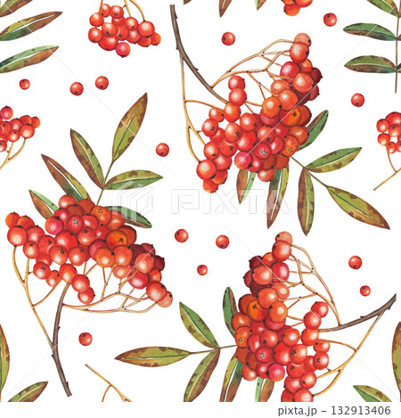 Hand drawn seamless pattern with rowan berry branches. Watercolor illustration. Hand drawn seamless pattern with rowan berry branches. Watercolor illustration. 132913406