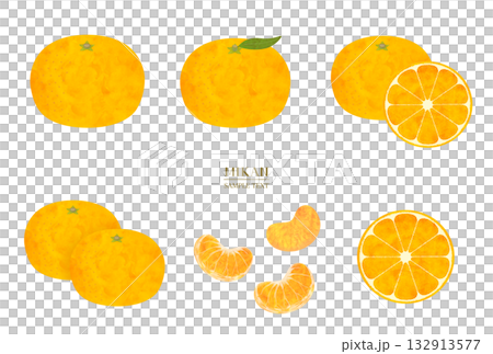 水彩風格的橘子插畫素材套裝 132913577