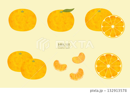 みかんのイラスト素材セット　(水彩風ベクター） 132913578