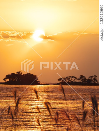 晩秋の朝焼けに染まる富山湾と虻ガ島をススキ越しに臨む 132913660